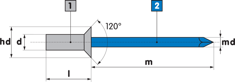 4.8 x 11